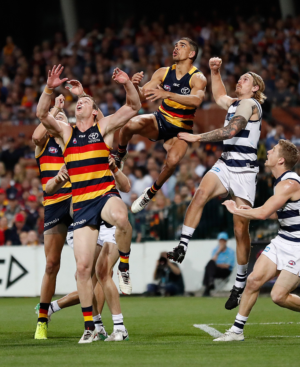 开云体育在线-关于卡尔皮球员集训备战下场比赛的信息