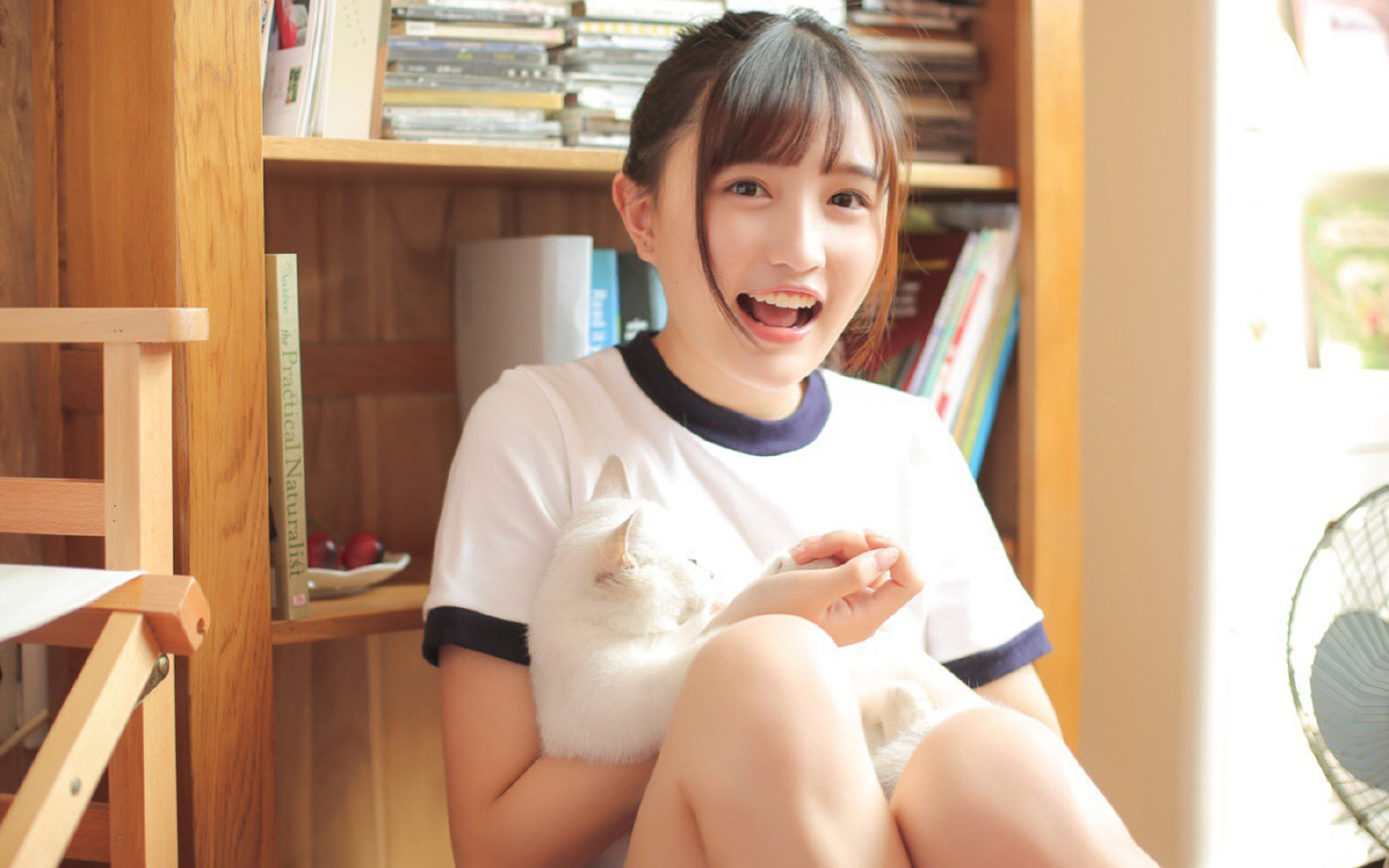 绿茵场上的南半球收割，德里赫特满分演出，新西兰战术如何爱尔兰式收割？