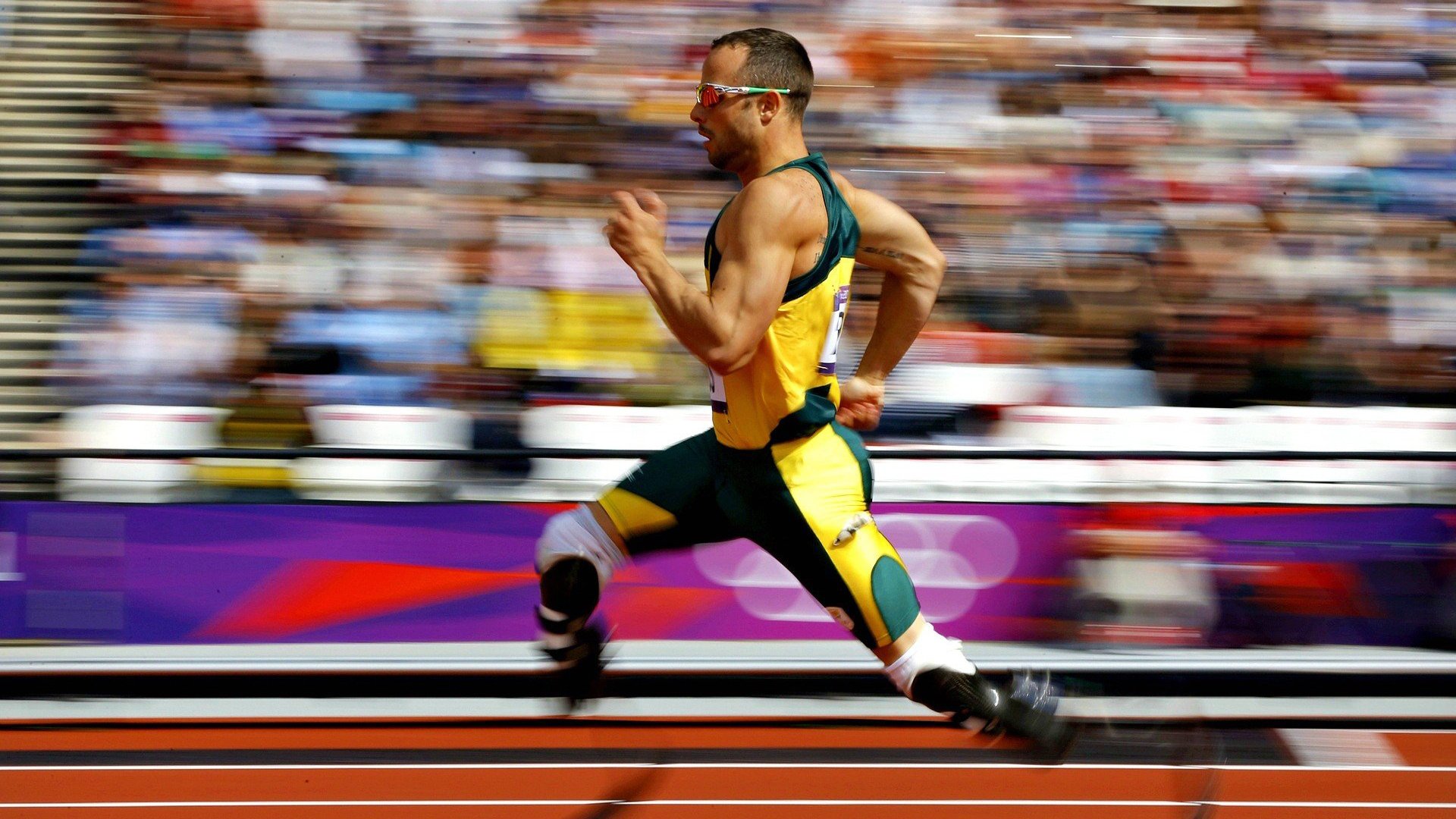 跨越时空的篮球对话，当深圳队遇见凯尔特人，戈贝尔末节上演禁区独白